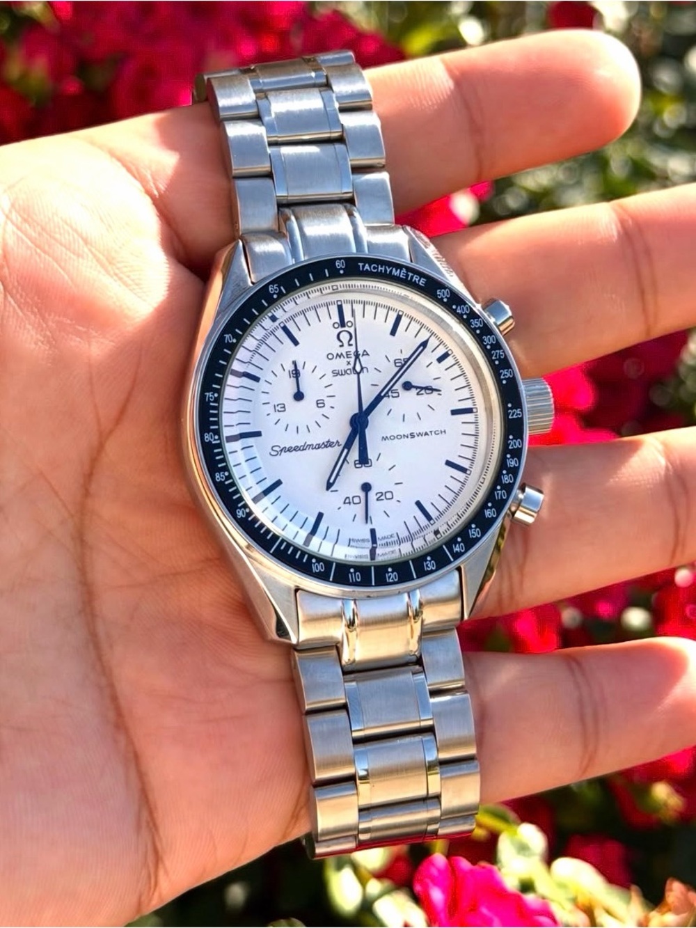 Omega Speedmaster MoonSwatch